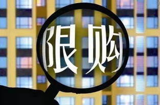 东莞购房必备 开发房地产与管理中的关键事项